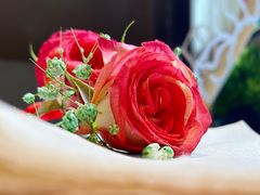 -叶叶菩提·晋福宫