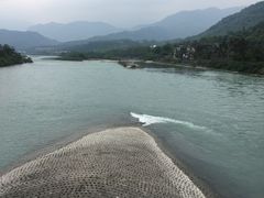 -老号尤兔头(幸福店)