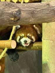 -Zoolung Zoolung动物主题公园(海信广场店)