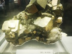 -湖南省地质博物馆