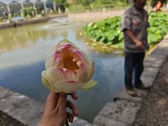 -精灵农庄