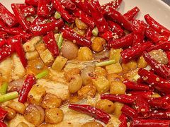-临江·阅炉