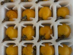 -百丽宫影城(ifc商场店)