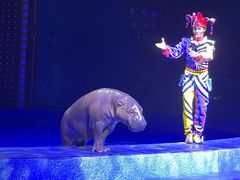 -珠海横琴长隆《卡卡虎奇遇记》