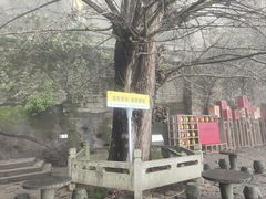 -大慈岩风景区