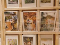 -猫的天空之城概念书店(苏州平江店)