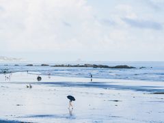 -台山黑沙湾海浴场
