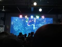 -邯郸海洋世界