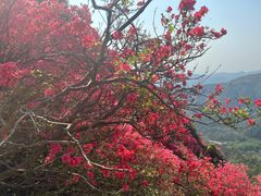 -木兰云雾山