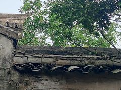 -宁波市保国寺古建筑博物馆