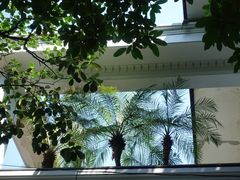 -河内西湖莲花自助餐厅
