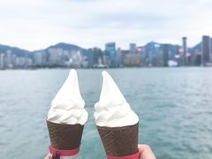 -富豪雪糕车流动点(尖沙咀)