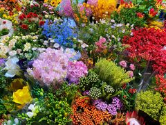 -双季花艺园艺市场(浦东店)