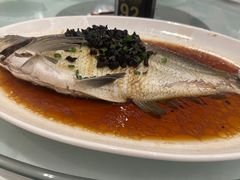 -海都六福酒家(世博广场店)