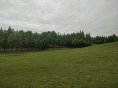-成都保利公园皇冠假日酒店(熊猫基地店)