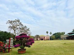 -侯臣咖啡文化村