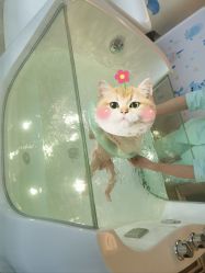 -添禧月子会所(高新店)