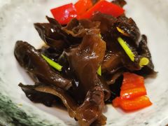 凉拌木耳-红叶日料·放题·海胆·定食(星海店)