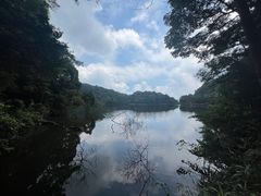 -广州市石门国家森林公园