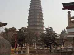 -法门文化景区