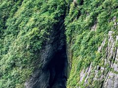 -瓦屋山景区