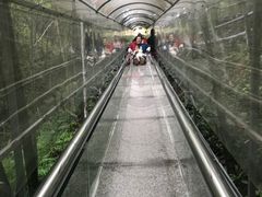 -千泷沟大瀑布旅游区