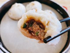 鲜肉小笼包-桐香园小笼包(百井坊巷店)