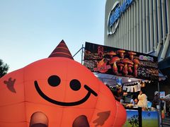 -凯德MALL(望京店)