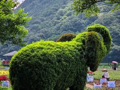 -广州市石门国家森林公园