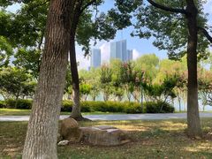 -天鹅湖体育公园