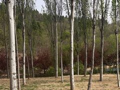 -红旗渠风景区