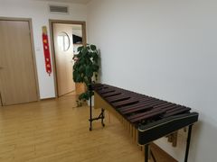 -音歆国艺馆·民乐培训(双榆树店)