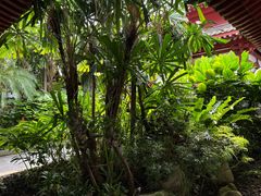 -新加坡佛牙寺龙华院