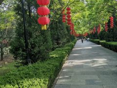 -大槐树寻根祭祖园