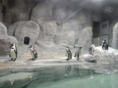 -合肥野生动物园