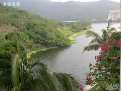 -三亚亚龙湾金棕榈度假酒店