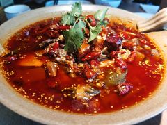 -辛香汇·现炒川菜(淮海路百盛店)
