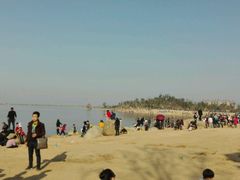 -瑶湖郊野森林公园