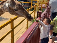 -西霞口神雕山野生动物世界