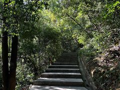 -火炉山森林公园
