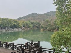 -白马涧龙池景区