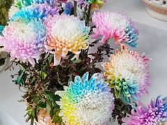 -陶然亭公园南门停车场