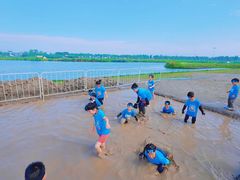 -春花秋色城市公园