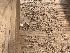 -秦始皇帝陵博物院-丽山园