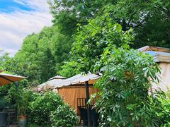 -龙猫意杯花园餐厅(芙蓉湖店)