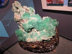 -湖南省地质博物馆