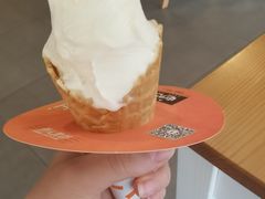 -野人先生现做冰淇淋(北京环宇荟店)