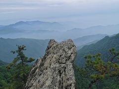 -王顺山国家森林公园