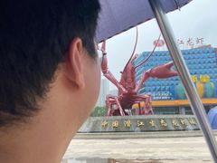 -五七小李子油焖大虾(总店)