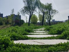 -禹州森林植物园
